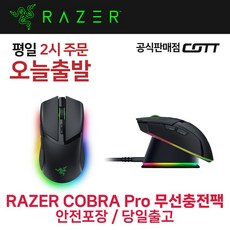 레이저코리아 RAZER Cobra Pro 무선 충전 팩 무선 게이밍