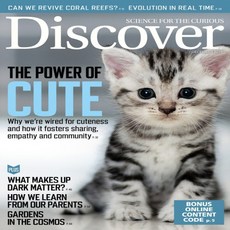 Discover Usa 2019년12월호