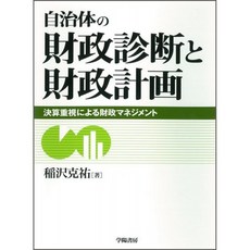 지자체의 재정 진단 및 재정 계획, 단일옵션, 단일옵션