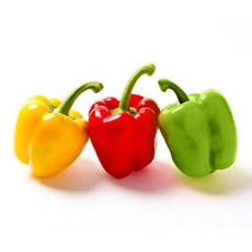 산지플러스 못난이 파프리카 (3색 혼합) 1kg /농수산, 1개