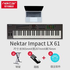 넥타 미디 키보드 49 키 배열 전자 음악 컨트롤러 61 키 작곡가 키보드 타악기 패드 미디, LX61 + 페달 + 피아노 스탠드 + 정품 BItwig 소프트웨어