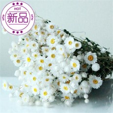 be99a268cf88fafa4b2de1bea091adcd18452dd83c10bce7861ce4cdebd1.jpg