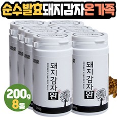 제주40tv