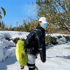 스키 스노우보드 엉덩이 보호대 인형 초보자 보호장비 보드 엉덩이 보호대, 1개, 작은 아보카도 엉덩이 보호대