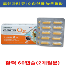 네추럴라이즈 코엔자임Q10 코엔자임큐텐 코큐텐 코큐10 60캡슐 (하루1알)10 + 사은품 건강기능식품 활력 활성산소 항산화 혈압 미국직수입 건강 면역력증진, 60개