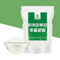 대용량 치커리 뿌리 추출물 가루 분말 500g, 1개