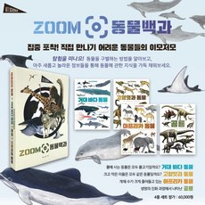 zoom동물백과거대바다동물