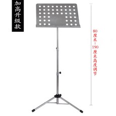 오케스트라공연