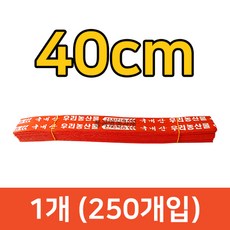 단끈 농산물 철심 결속끈 1묶음(250개) 철심끈 야채 부추 파 열무, 40cm, 1개