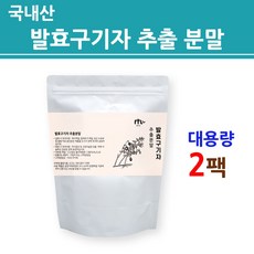 국산 발효구기자 가루 분말 발효 구기자 추출액 진액 함유 식물성 김치 유산균 국내산 100% 제아잔틴 티아민 카로틴 붉은 고지베리 갈색 여성 남성 추천 효능 대용량 팩, 2개