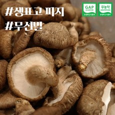 표고버섯 국내산 파지 무농약 GAP인증 (무선별) 산지직송 오전 주문 발송, 파지10kg, 1개