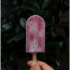 vegan 세트 아이스크림바 9개 / 코코넛망고 코코넛모카 스트로블루피넛버터