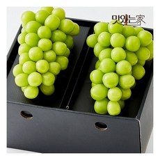 아삭달콤 프리미엄 샤인머스켓 과일선물세트 총 1.3KG 이상 (특품/2입), 없음