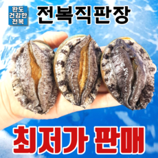 //상품명