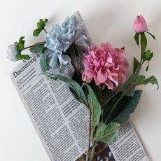 6fe9cc576f1965c818c758dfeec858291e487716c7fcd6698a0ec4e3acbe.jpg
