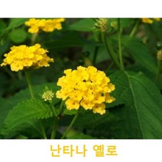 c86ffd49a8eb0809908de026fd2f4342b545285fa821de02eb986495eb60.jpg