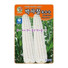 제일종묘 옥수수씨앗 박사찰옥수수 150립