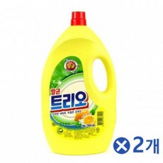 에코씽
