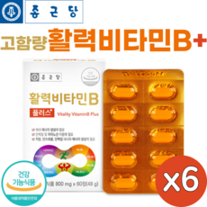 종근당 활력 비타민B 플러스 60정 고함량 수용성 비타민비 컴플렉스 복합제 vitamin b, 6개