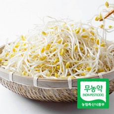 국내산 이조은 산소 콩나물, 1개, 1kg