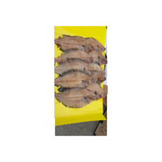 다원 포항가자미 1 050g~1 200g, 1개