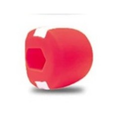 wf페이스피트니스