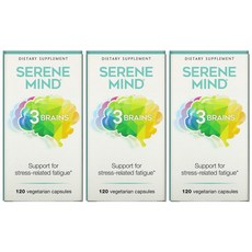 카멜리아시넨시스