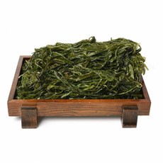 바다속풍경
