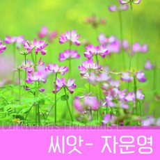 조이가든 [조이가든](씨앗) 자운영 (꽃씨) 1kg, 단품없음