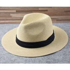 페도라l3플러스
