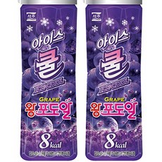 아이스링커핸디쿨