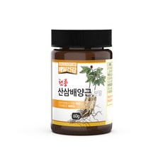 매일건강 천종 산삼배양근 100% 분말 (스푼포함) 원기회복 천종산삼