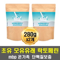 비만운동인슐린