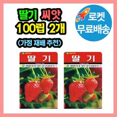딸기 씨앗 (합 200립) 텃밭 가정재배 교육용 딸기씨, 2개 2개