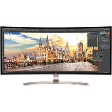 LG LG 38UC99-W 37.5 21:9 WQHD+ Curved IPS FreeSync Monitor, 상세내용참조