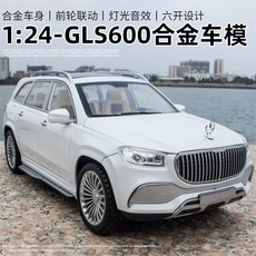 gls마이바흐모형