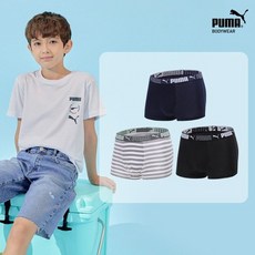 푸마에어드라이