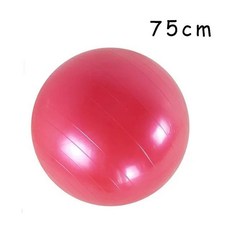 피트니스 용품 새로운 PVC 휘트니스 요가 공 두꺼운 방폭 운동 홈 체육관 필라테스 장비 균형 45cm/55cm/65, 20 Red 75cm, 75cm Red 2, 1개