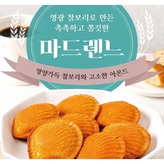 [아이스찰보리빵] 영광 찰보리 마드렌느 25gx60개 총1.5kg, 25g, 60개