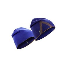 아크테릭스비니