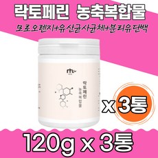 바이타믹스분해