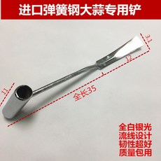 퓨쳐 디엠 경탁 출 수확 건취나물, 수입 스프링 스틴 마늘 전용 삽 1손