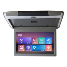 카니발천정형tv