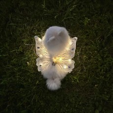 강아지날개 하네스 코스튬 LED 고양이 천사 의상, 1개