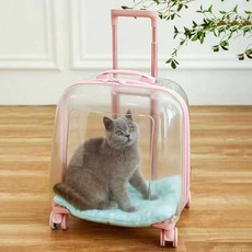 투명 고양이 캐리어 여행 트롤리 가방 산책 강아지, 1개, 녹색 41cmx41cmx31cm