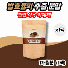 다이어트정체기
