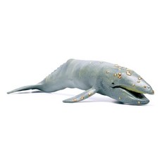 [핫트랙스] 사파리엘티디 210402 귀신고래 Gray Whale