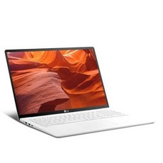 LG전자 2021 그램 17, 스노우 화이트, 코어i7 11세대, 1024GB, 16GB, WIN10 Home, 17ZD95N-GX76K