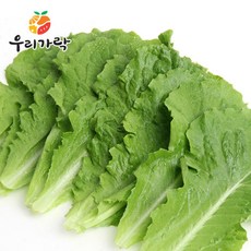 [우리가락] 로메인 50g, 상세 설명 참조