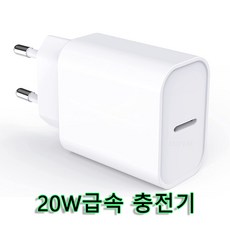 애플정품충전기20w